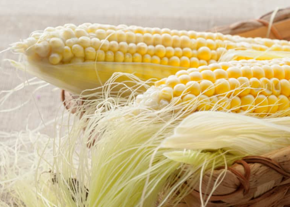 What is corn silk good for.png